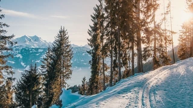 Vontade de Deus: é difícil, por isso santifica