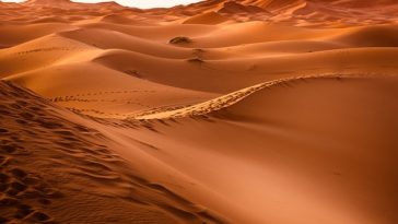 Deserto