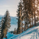 montanha nevada árvores sob a luz do sol