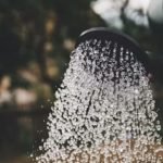 Pessoa regando jardim ao nascer do sol, simbolizando o cultivo ativo da virtude da esperança